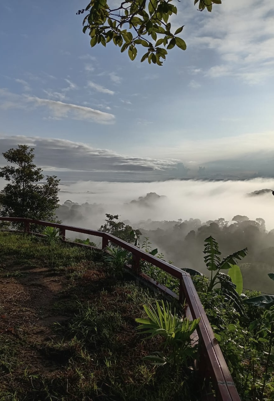 Property view 1
